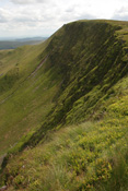 View this image larger